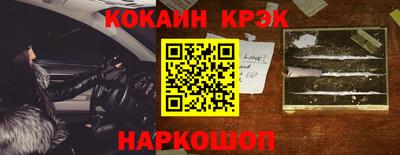 крисы Кингисепп