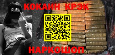 крисы Кингисепп