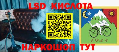 крисы Кингисепп