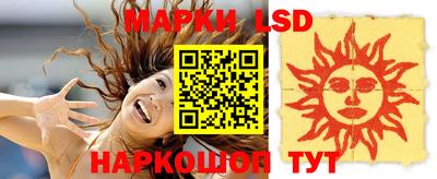 крисы Кингисепп