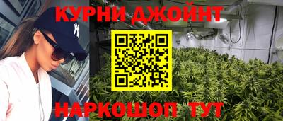 крисы Кингисепп