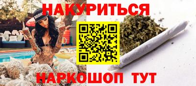 крисы Кингисепп