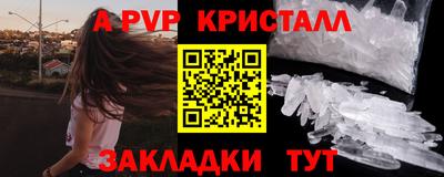 крисы Кингисепп