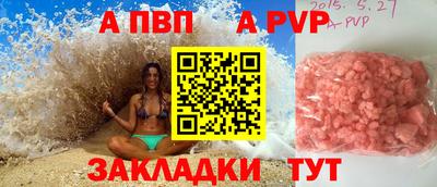 крисы Кингисепп