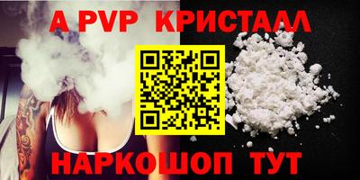 крисы Кингисепп