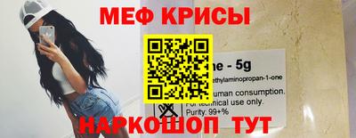 крисы Кингисепп