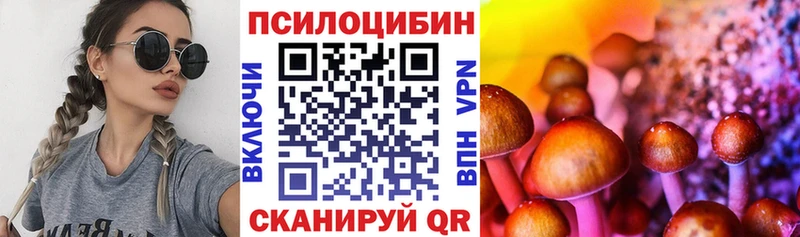 Псилоцибиновые грибы прущие грибы Фролово
