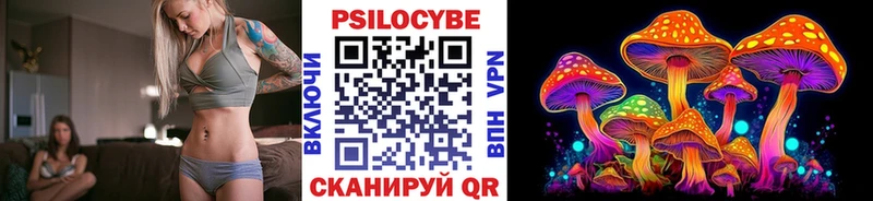 закладки  Фролово  Псилоцибиновые грибы MAGIC MUSHROOMS 