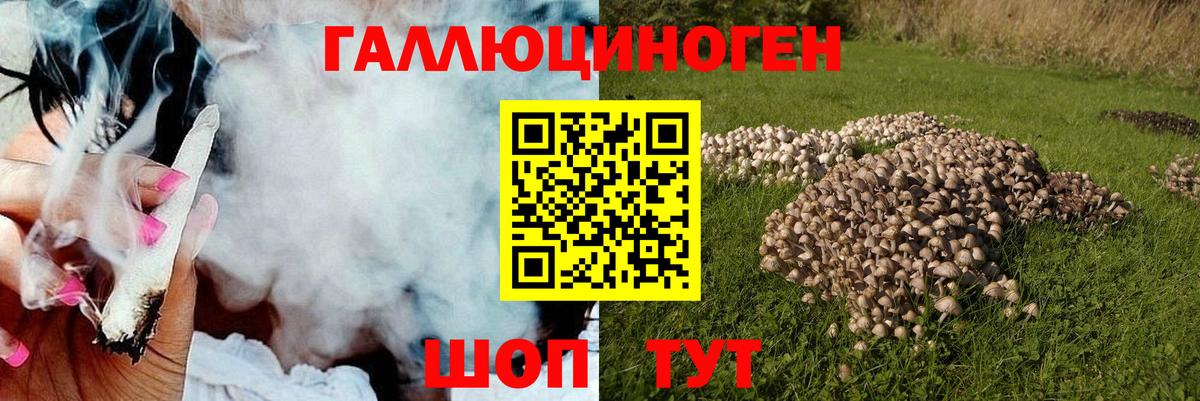 Галлюциногенные грибы Magic Shrooms Фролово