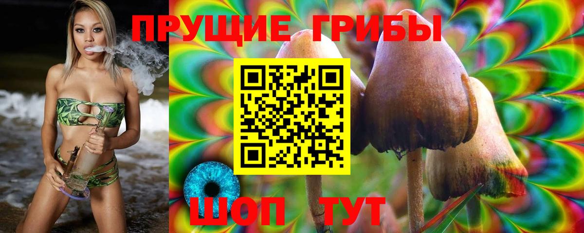 Псилоцибиновые грибы Psilocybine cubensis  Фролово 