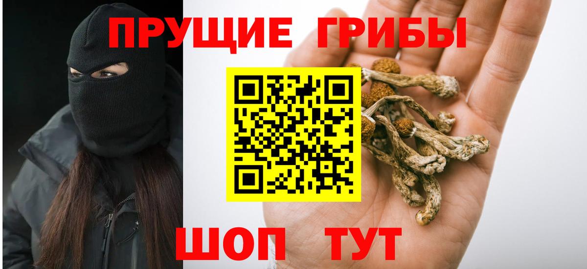 цены наркотик  Вход с VPN  Фролово  Псилоцибиновые грибы GOLDEN TEACHER 