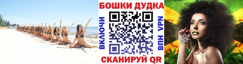 Канабис планчик где можно купить Фролово